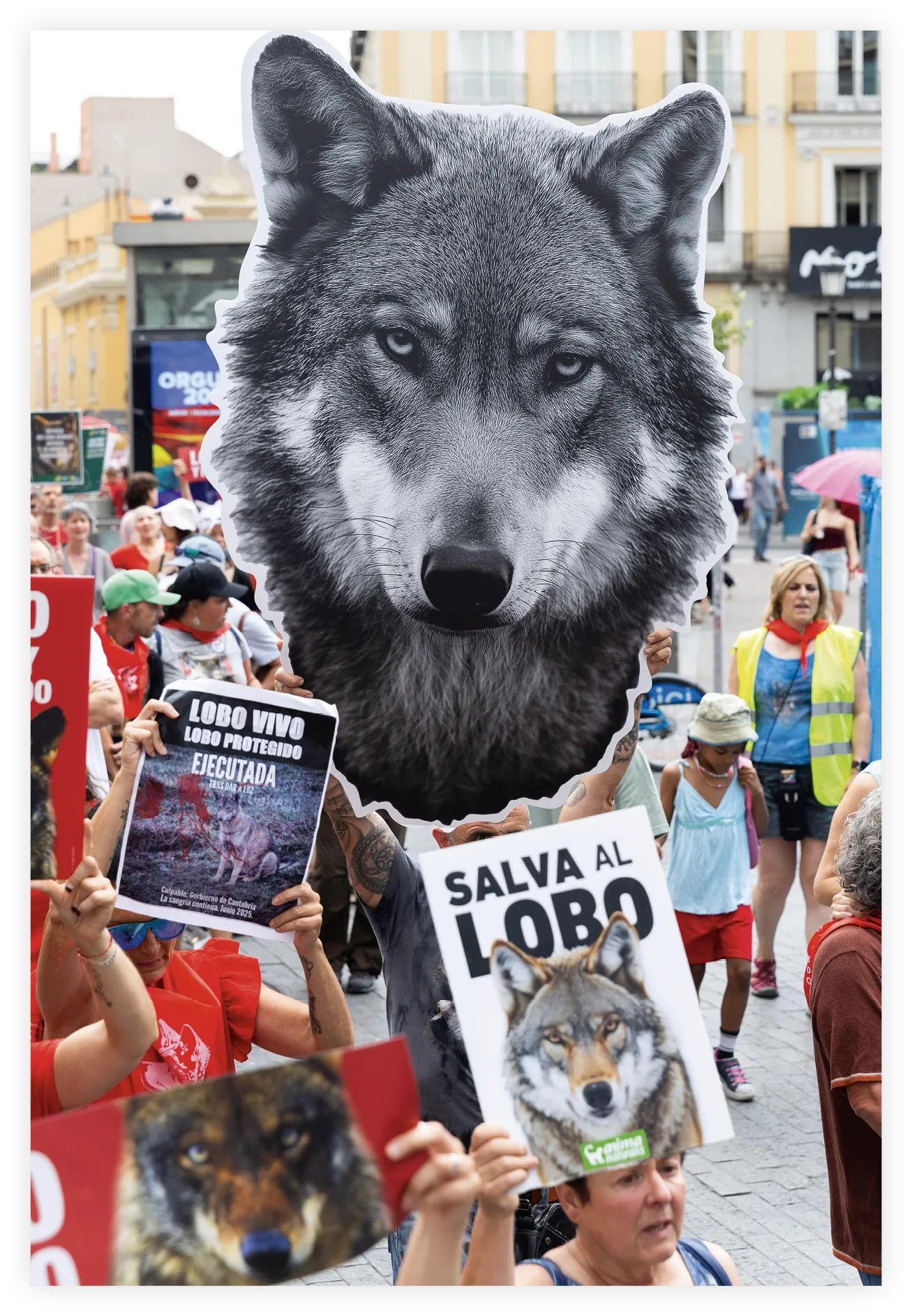 Manifestación para la protección del lobo, Madrid, 2025.