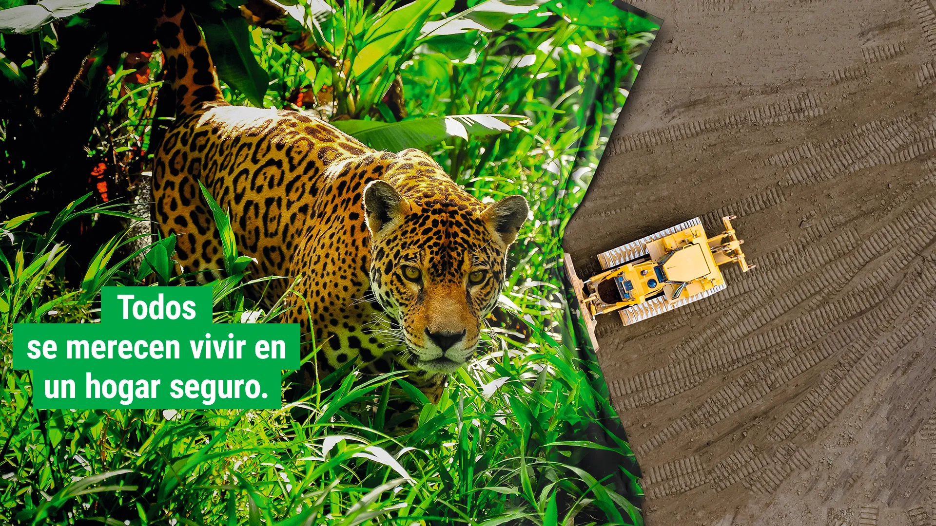 Campaña de WWF #NoTeComasElBosque, 2020.