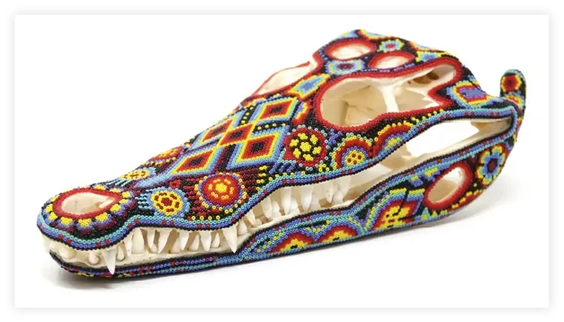 Cráneo de cocodrilo -
Yutsi tutuya III, Arte Huichol.