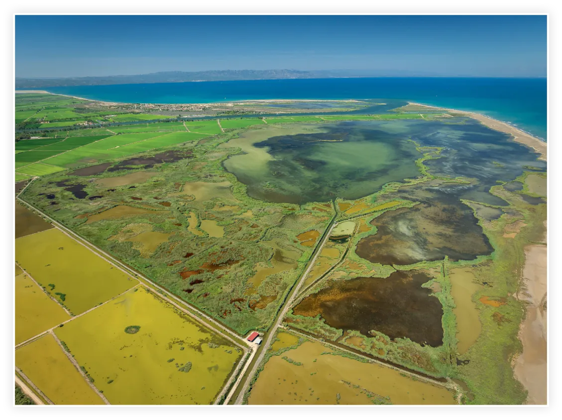 Isla de Buda.