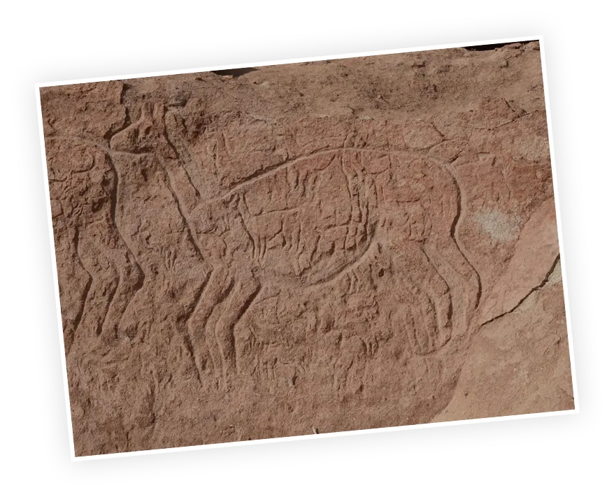 La llama, petroglifo
del desierto de Atacama.