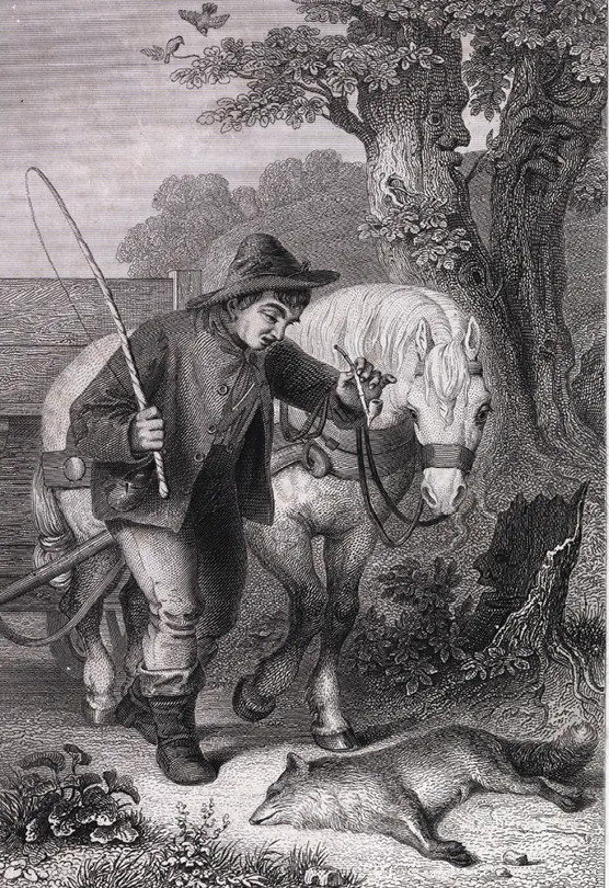 Renart et les marchands de poisson, gravure, collection privée.