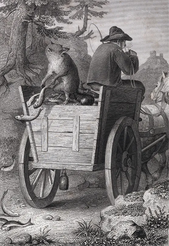 Renart et les marchands de poisson, gravure, collection privée.