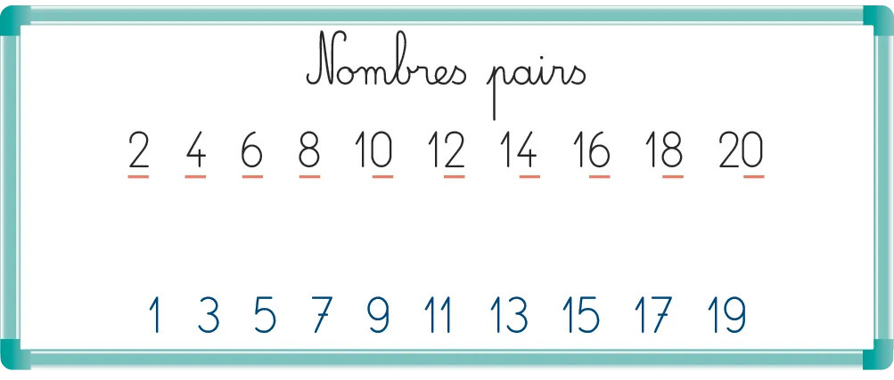 Tableau illustrant les nombres pairs (2 à 20) et impairs (1 à 19). Éducation mathématique.