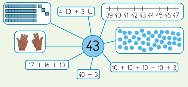 Illustration du nombre 43 décomposé : additions (17+16+10, 40+3, etc.), représentation graphique (carrés, points), doigts et droite numérique.