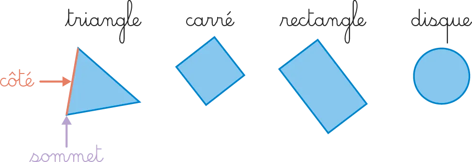 Illustration de formes géométriques : triangle, carré, rectangle et disque bleus.  Sommets et côtés indiqués.