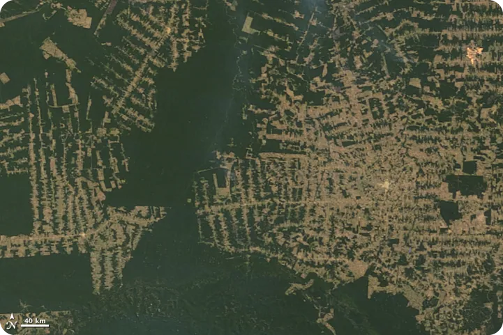 Images satellite de l'État de Rondônia (ouest du Brésil) en 2000 (à gauche) et en 2012 (à droite)