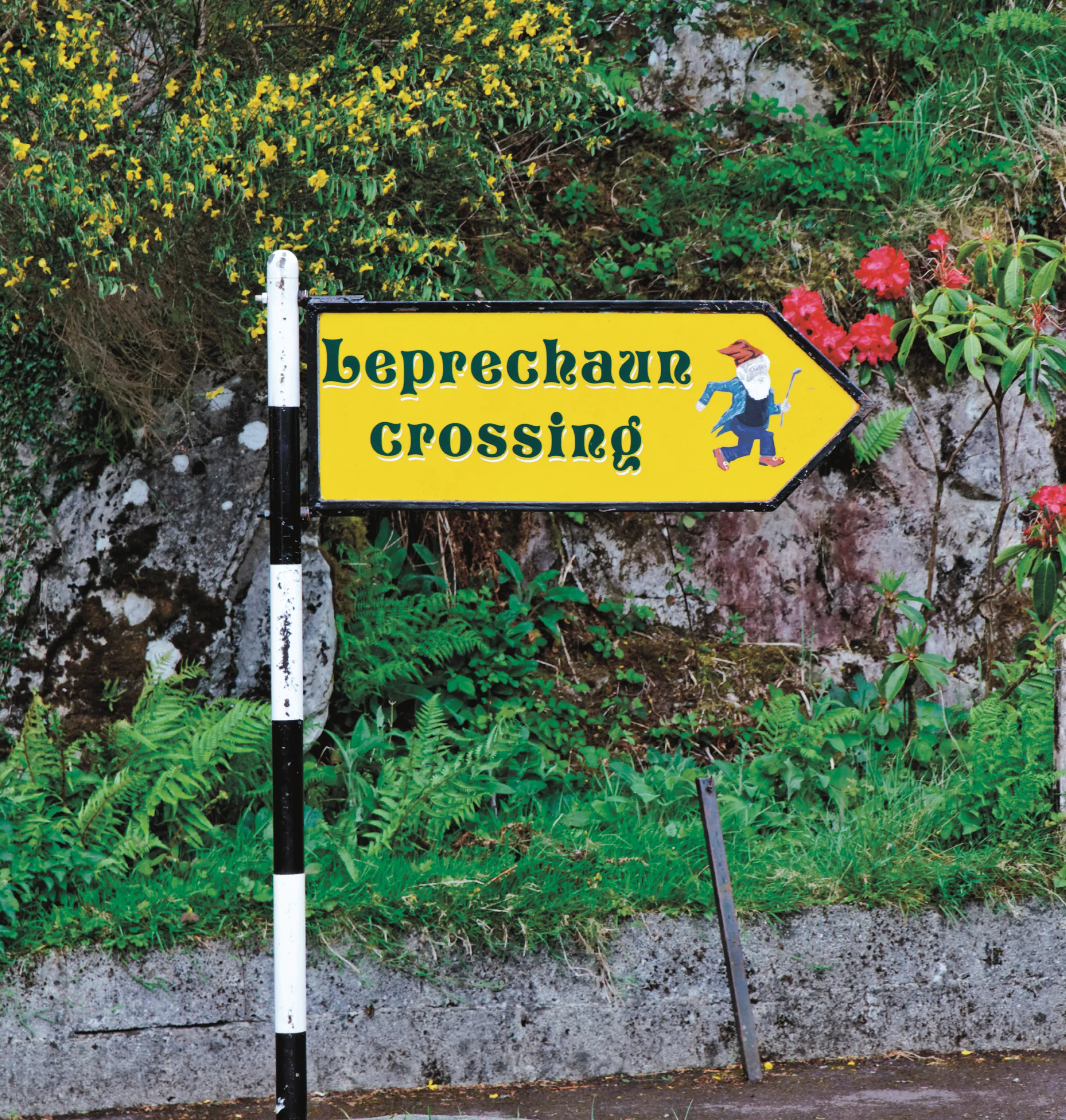 Leprechaun Crossing Sign