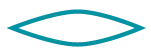 fraction