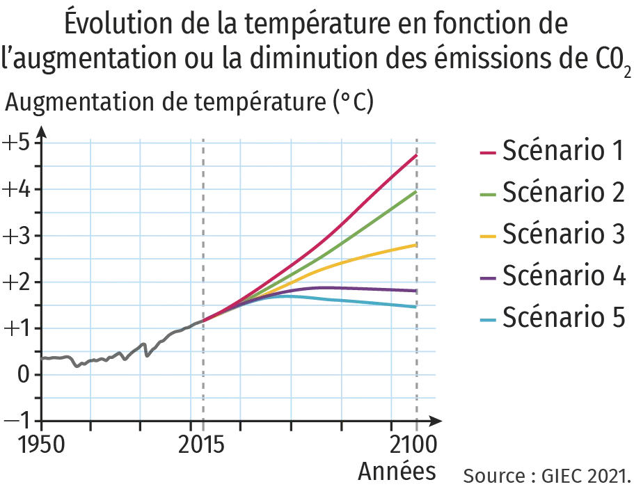 graphique