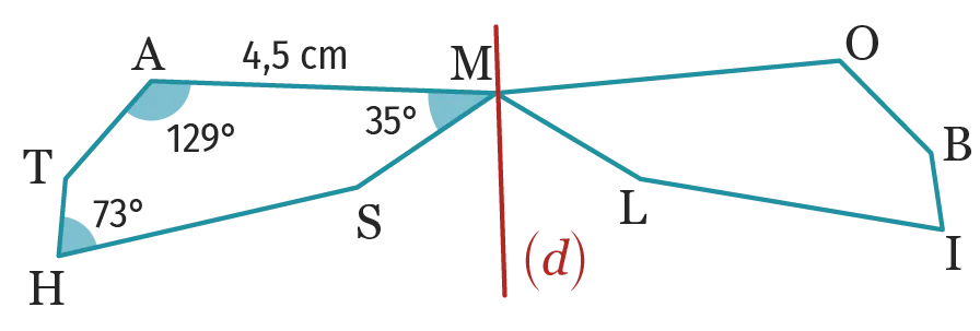 figure symétrique