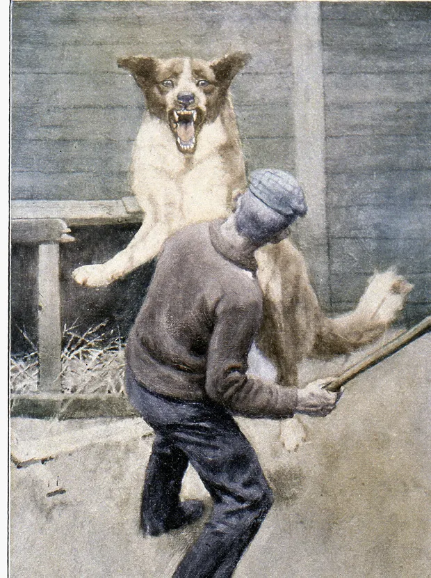Illustration pour L'Appel de la Forêt, 1903