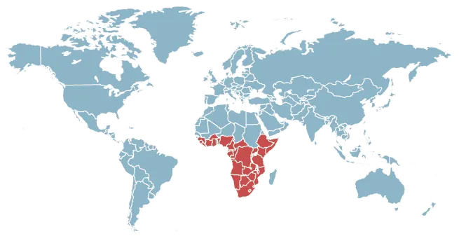 Carte du monde montrant l'Afrique subsaharienne en rouge