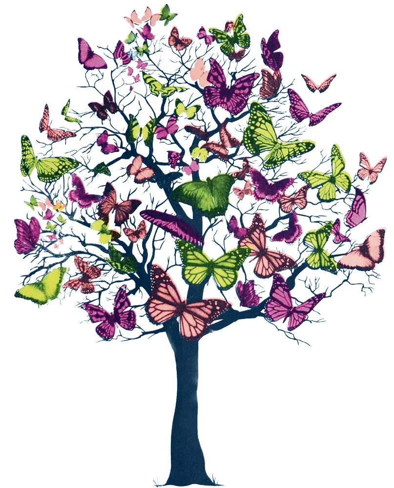 Butterfly blossom