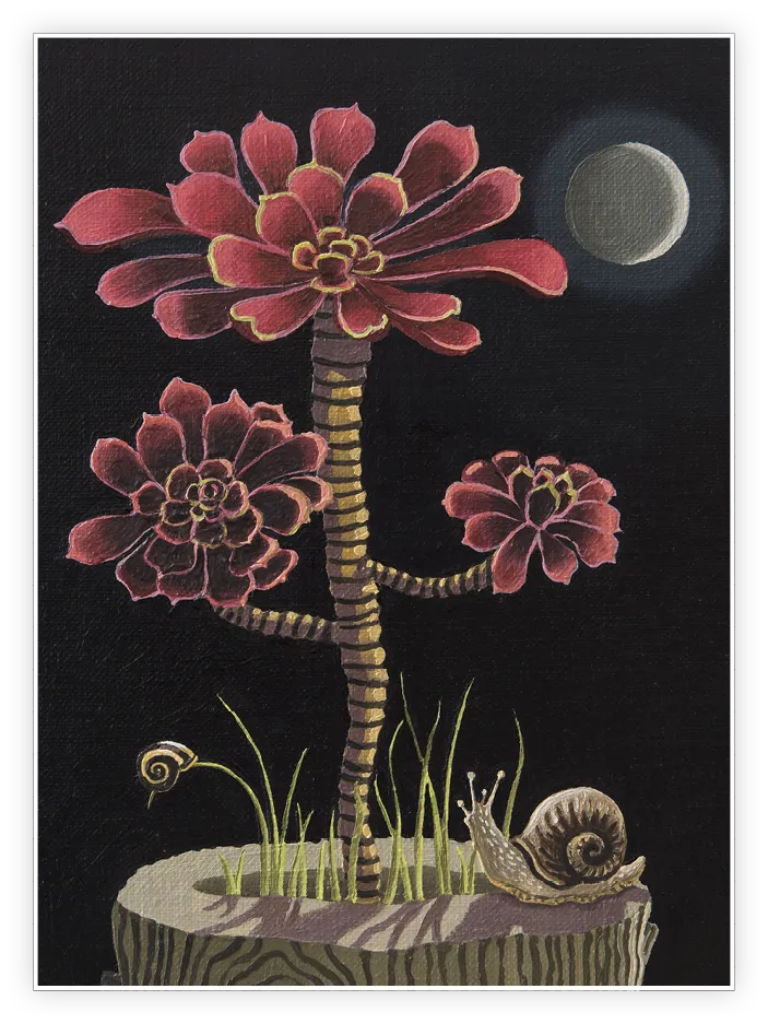Isabelle Rozot, Aeonium, huile sur toile, 2021, collection privée.