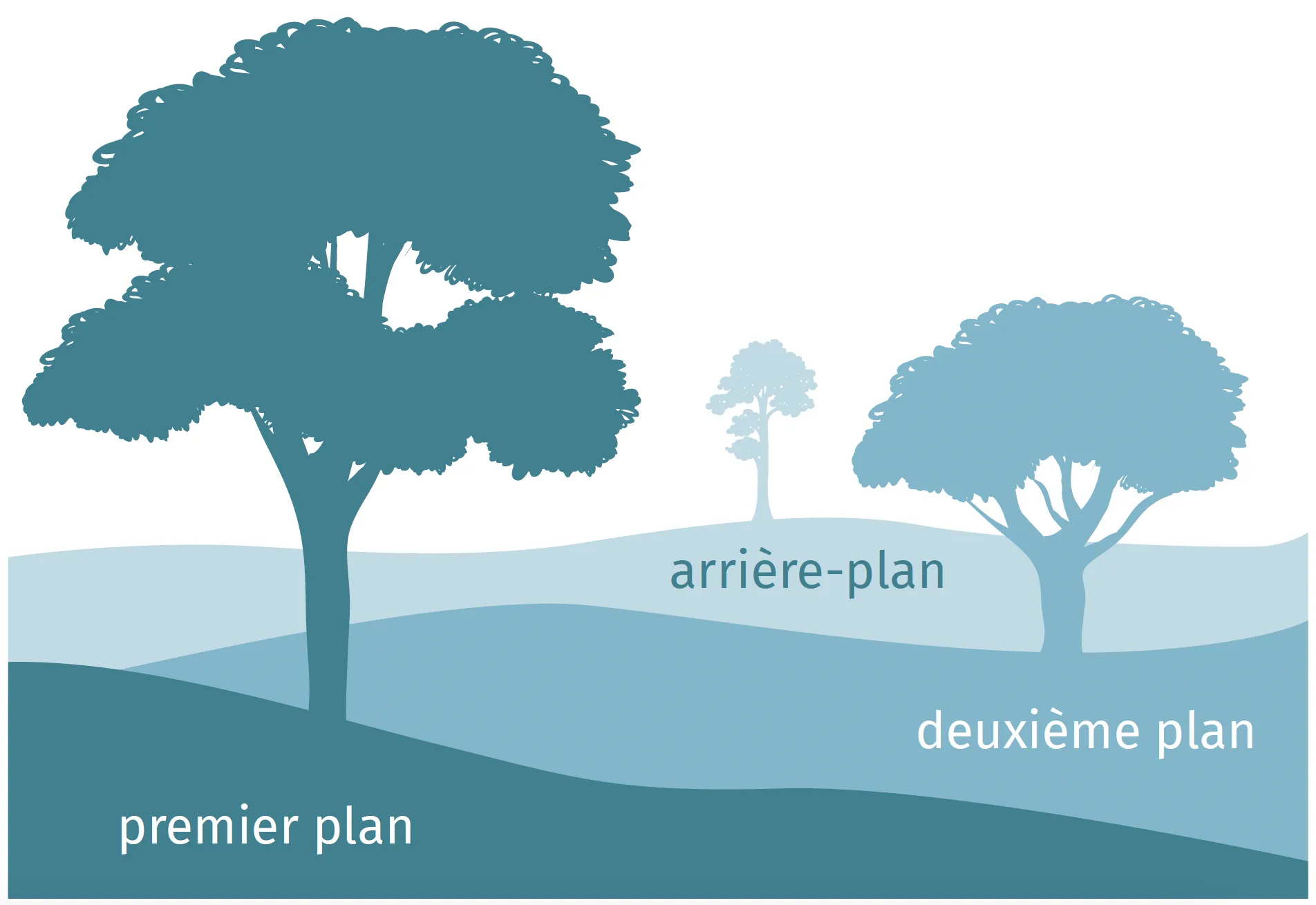 Arbre au premier plan, arrière plan et deuxième plan