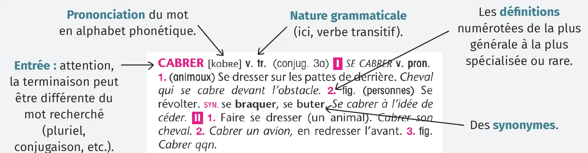 Schéma explicatif d'un dictionnaire