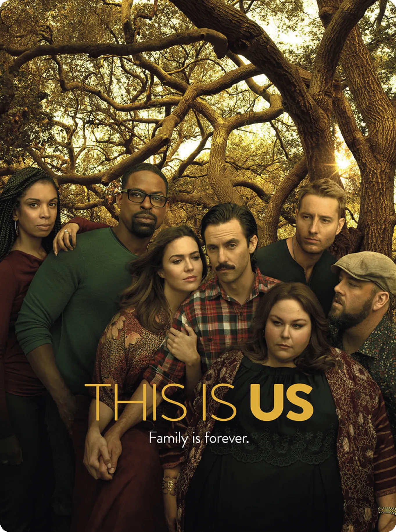 This Is Us, TV show poster, 2016-2022.