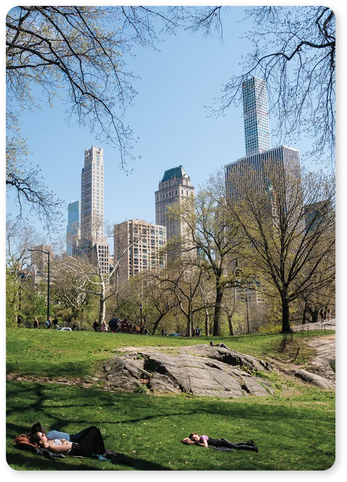 New York Central Park lying in the grass
