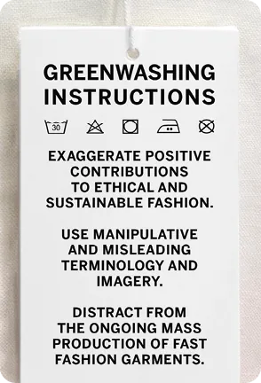 Greenwashing instructions by Elizabeth Illing.