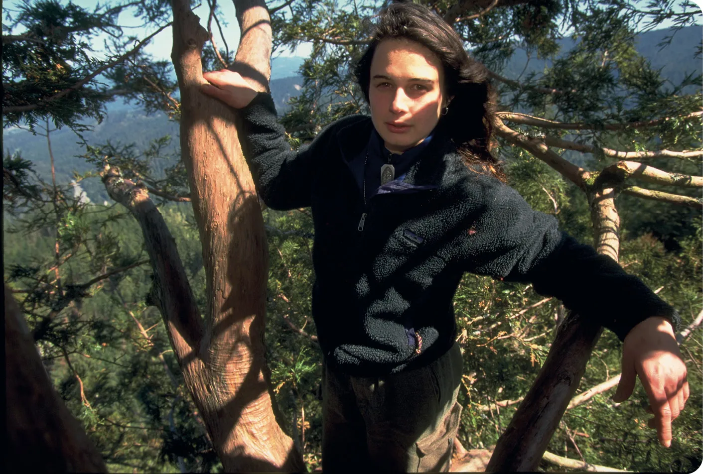 Julia Butterfly Hill spends months in a tree, 1998.