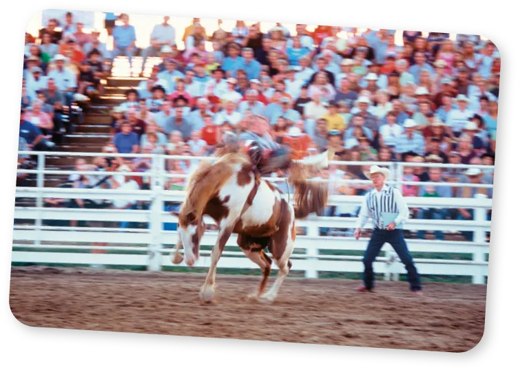 Rodéo.