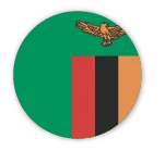 Zambie flag