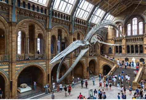 Sergii Figurnyi/Shutterstock