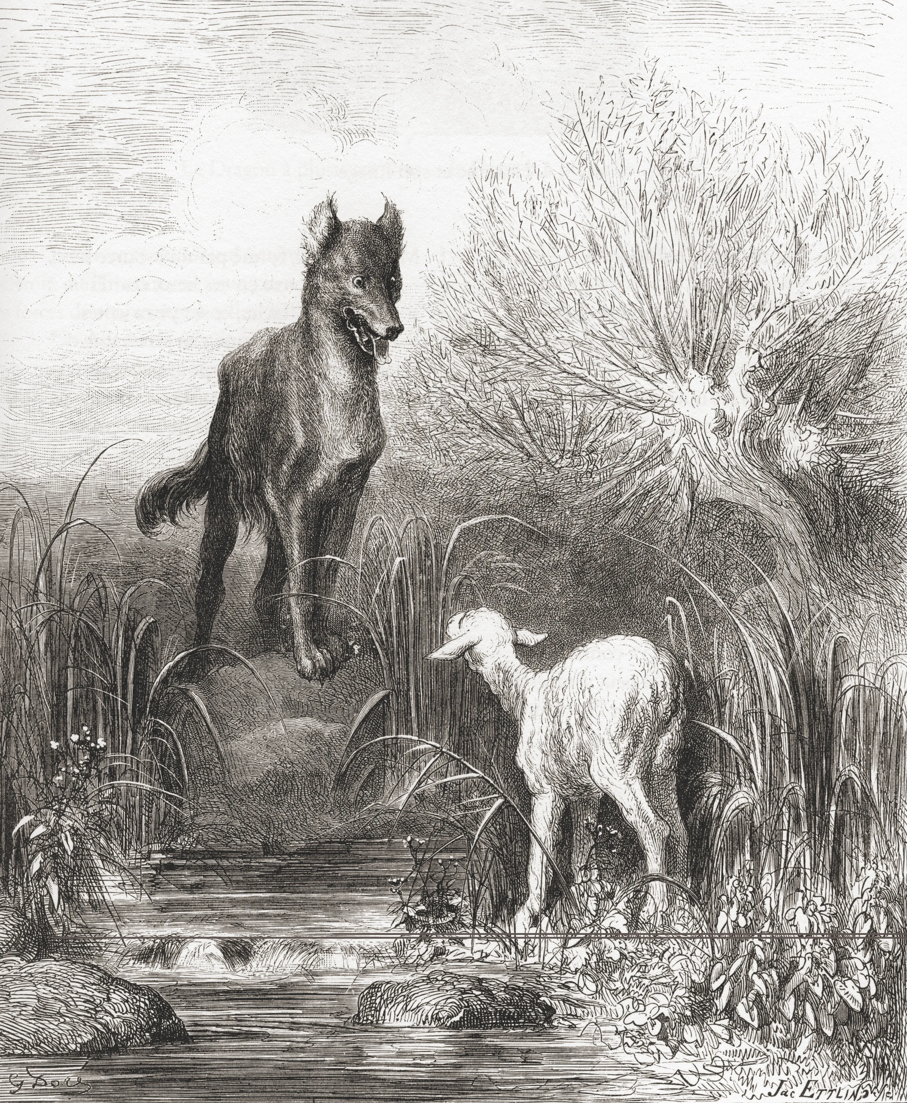Gustave Doré pour « Le Loup et l'Agneau » de Jean de La Fontaine, XIXe siècle.