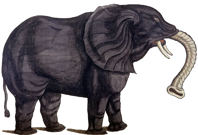 Éléphant de l'Historia Animalium de Conrad Gesner, 1551, Bibliothèque nationale de Brera, Milan, Italie.