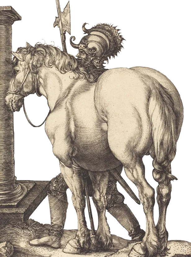 Albrecht Dürer, Le Grand Cheval, 1505, gravure, musée d'Art d'Amsterdam, Pays-Bas.