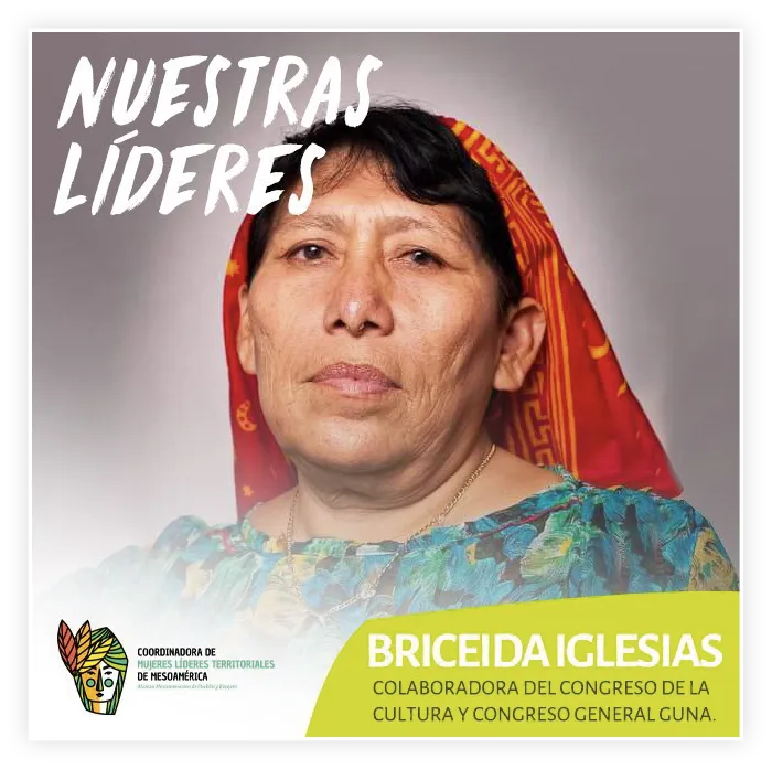 Coordinadora de Mujeres Líderes
Territoriales de Mesoamérica de AMPB, 2020