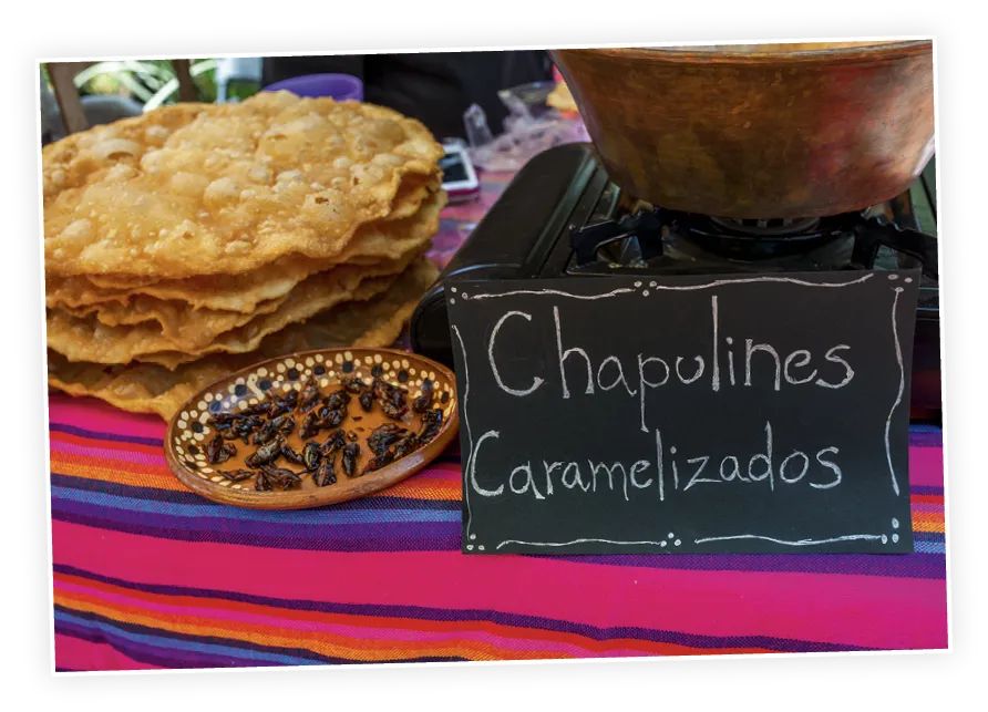 Puesto de chapulines caramelizados en un mercado mexicano.