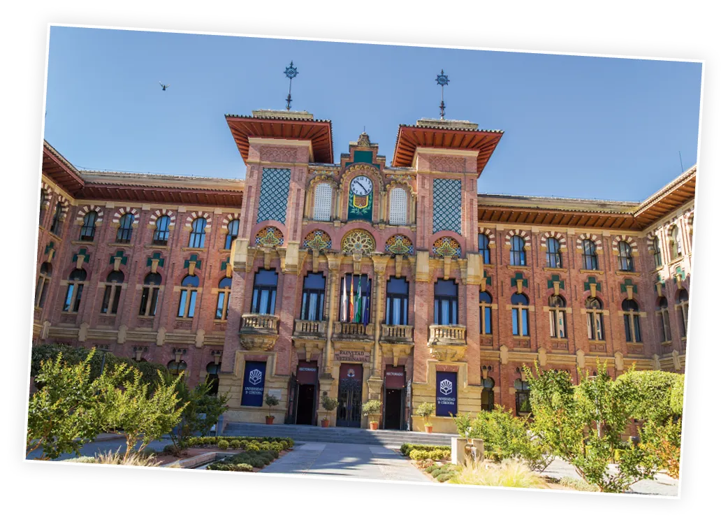 Universidad de Córdoba.