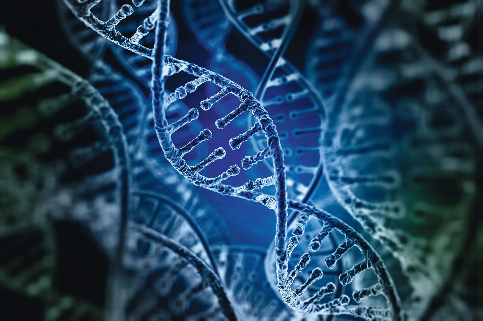 Probabilités et échantillonnage - ADN