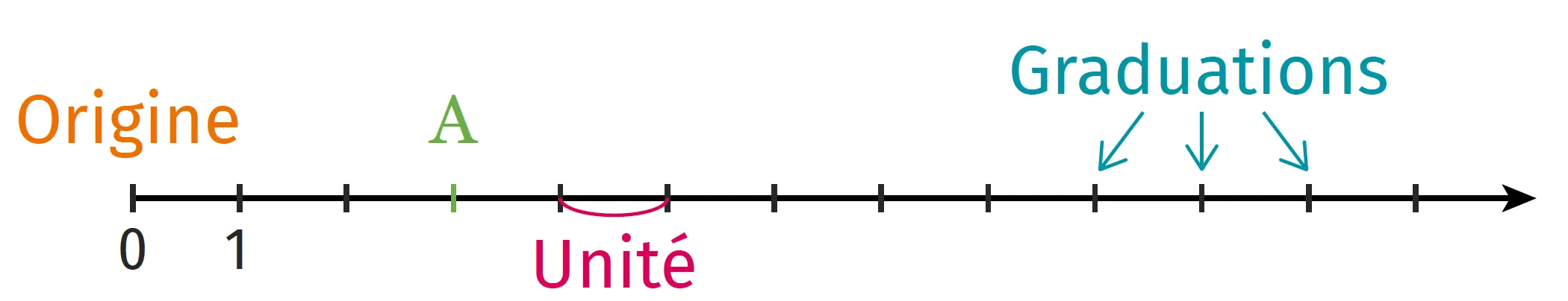 demi-droite graduée