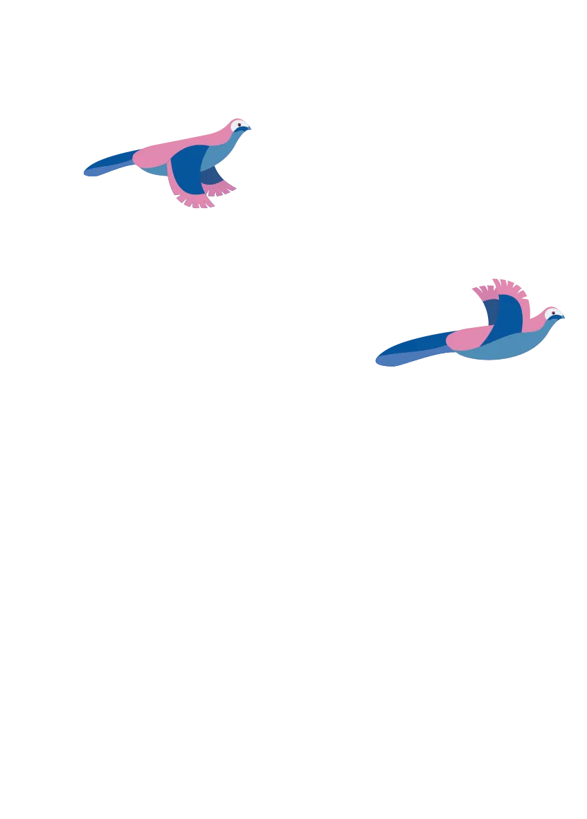 Oiseaux magique