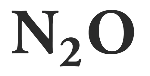 N2O