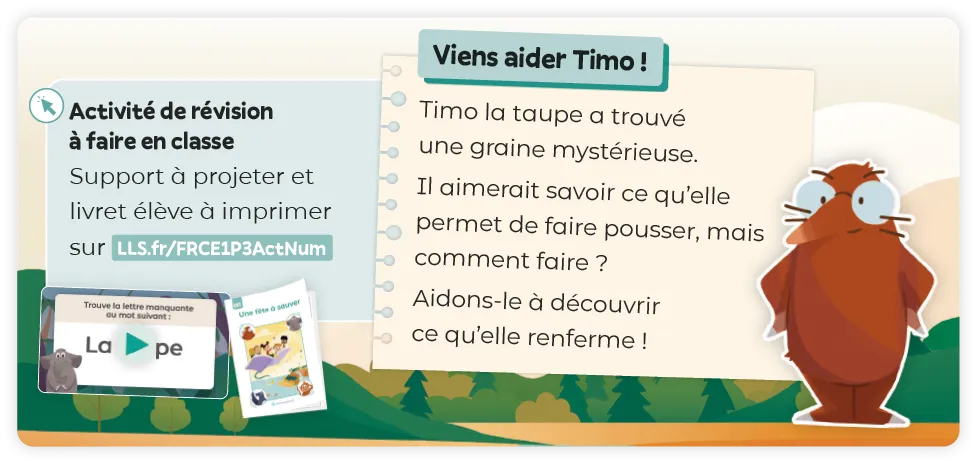 image-activitesrevision2