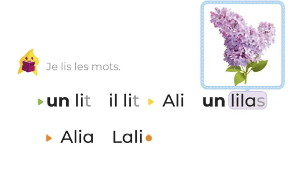 image-lilas