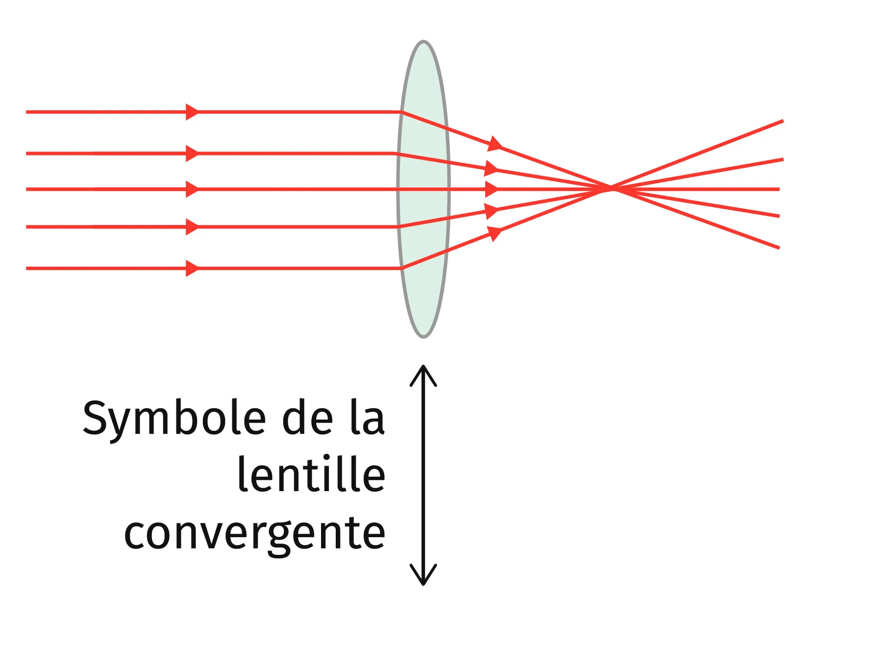 La lentille convergente
