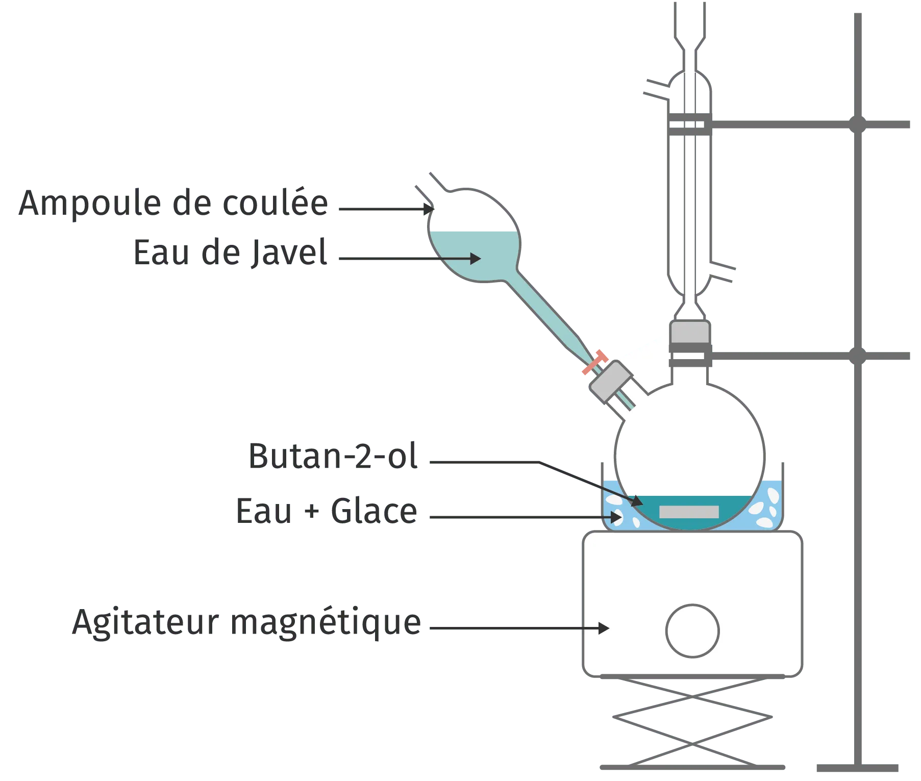 Schéma d'utilisation d'une ampoule de coudée
