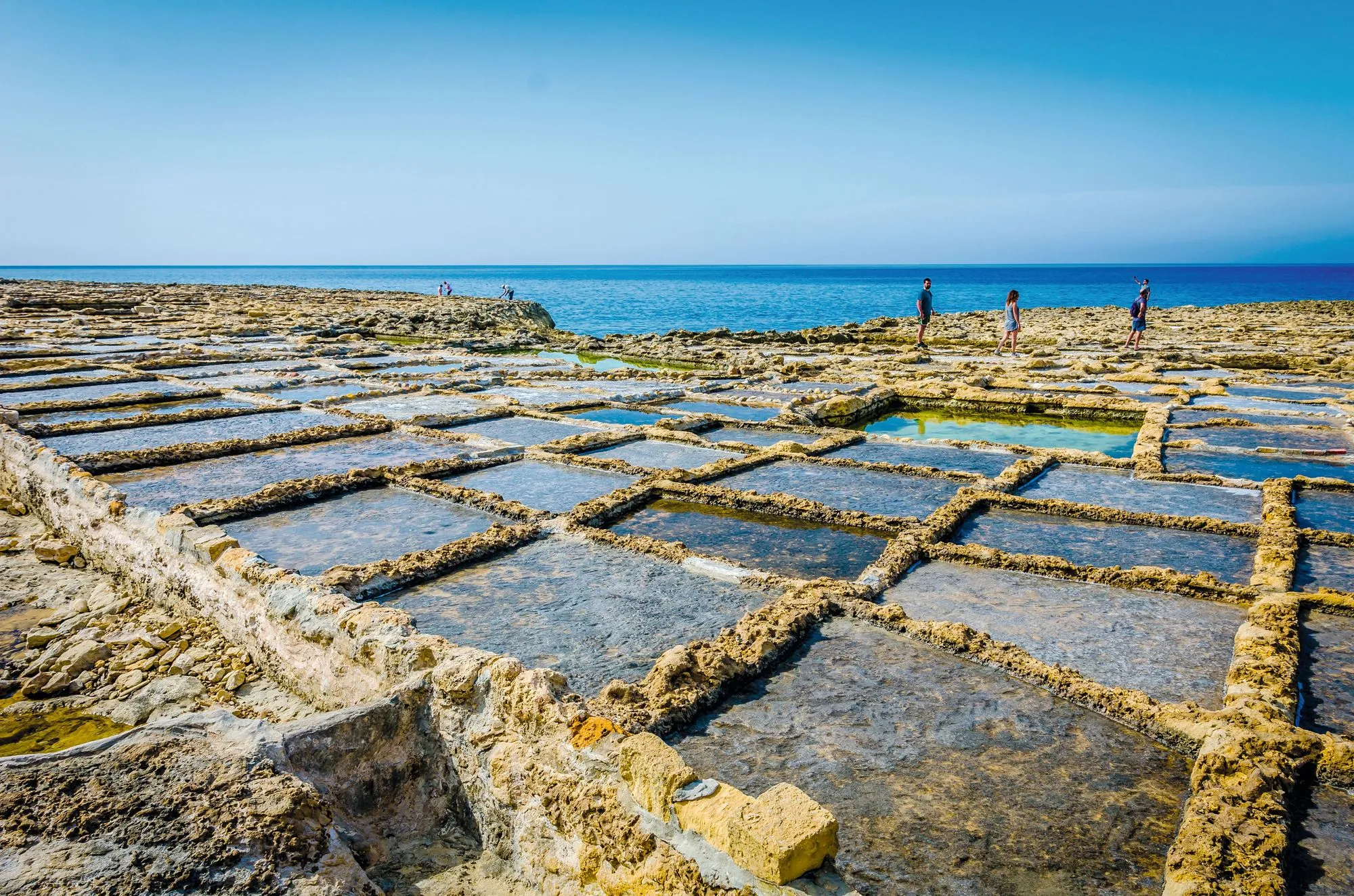 Anciens bassins de récolte de sel, Gozo, Malte