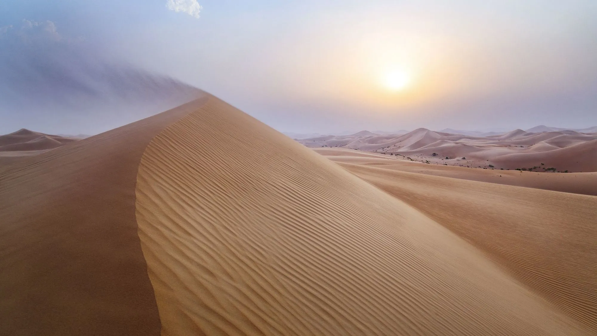 Dune de sable à Abu Dhabi