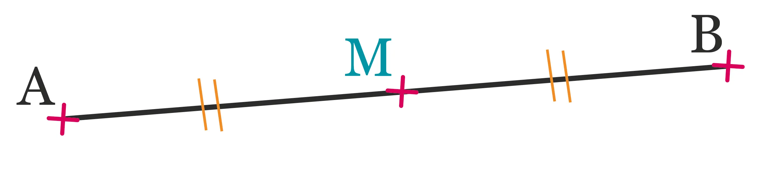 segment