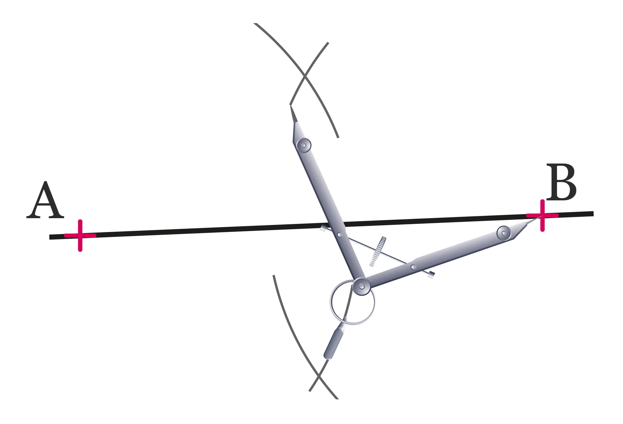 segment
