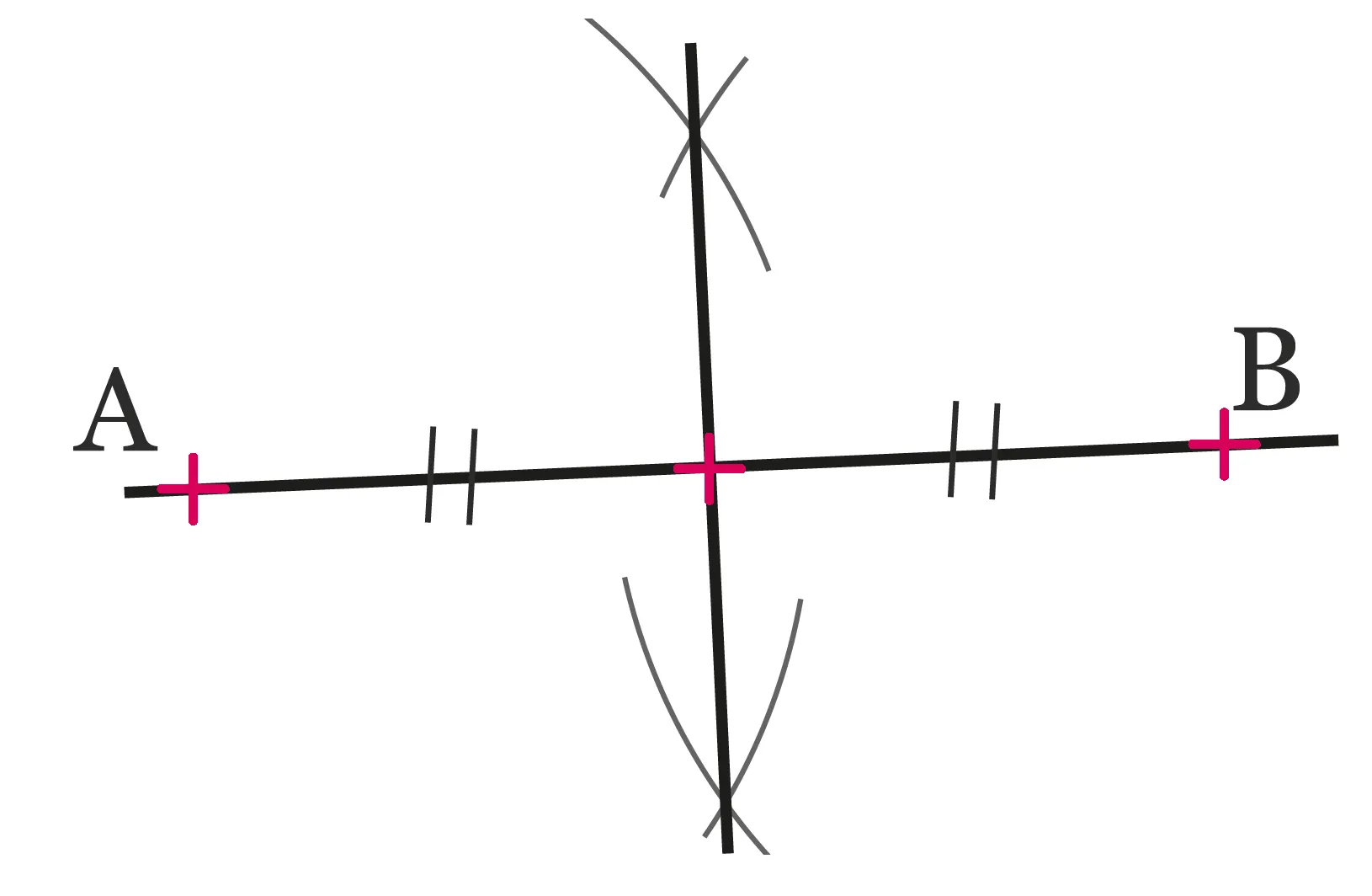 segment