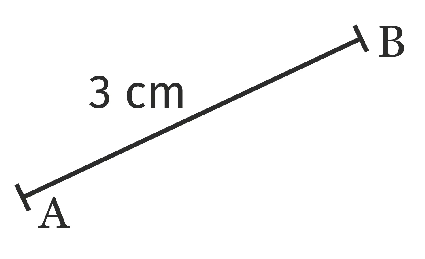 segment