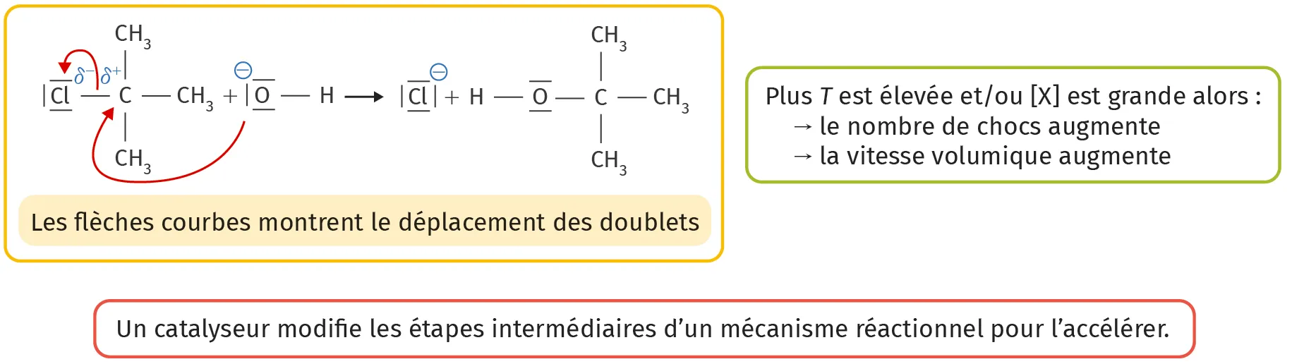 Modélisation microscopique