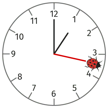 Horloge sur laquelle est posée une coccinelle